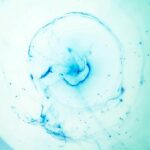 joel filipe BNcdsnUNqUY unsplash