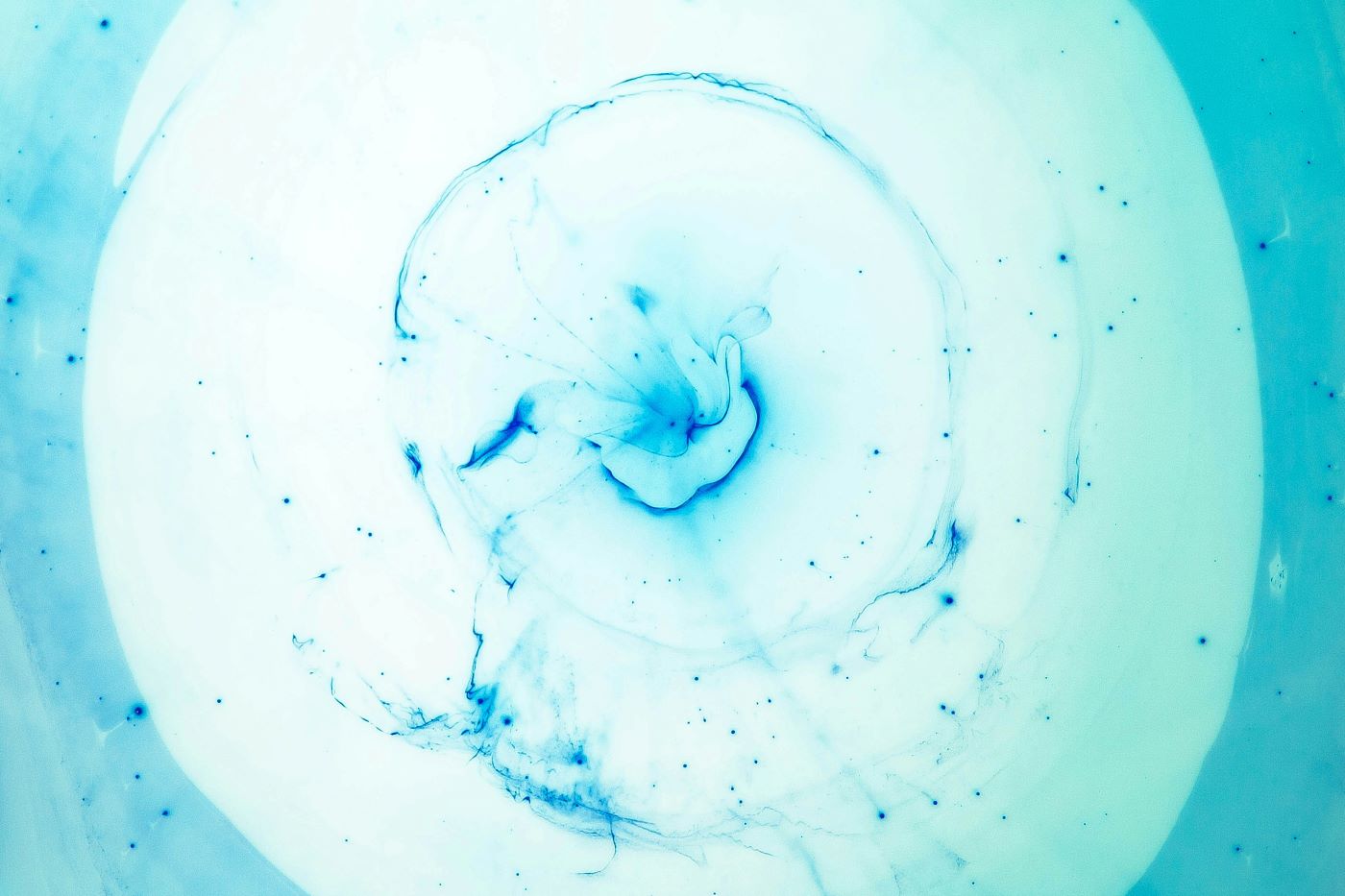 joel filipe BNcdsnUNqUY unsplash