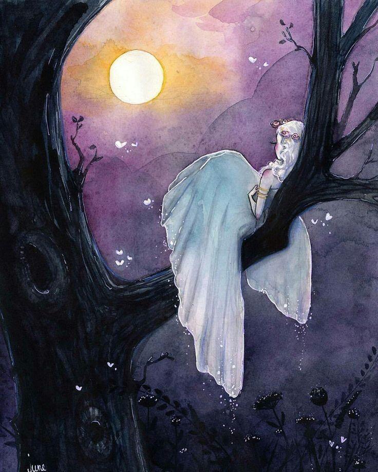 WhatsApp Image 2025 11 05 at 17.11.36 2