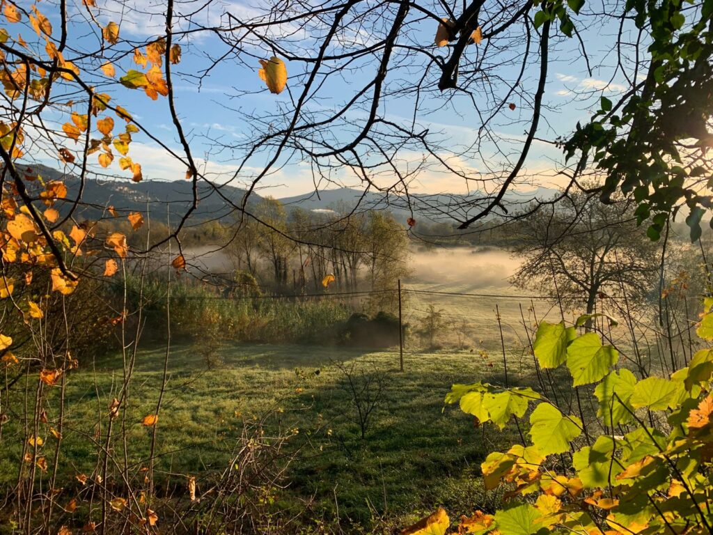 WhatsApp Image 2025 11 07 at 07.57.21