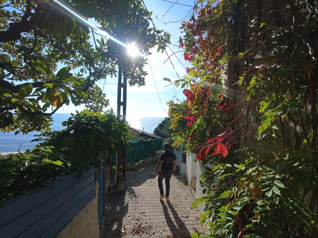 WhatsApp Image 2025 11 11 at 22.50.29