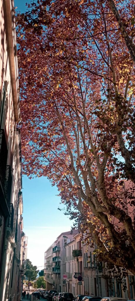 WhatsApp Image 2025 11 11 at 22.53.29 1