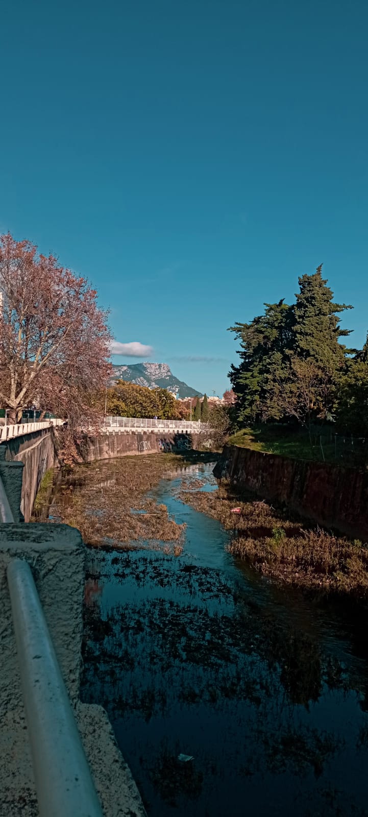 WhatsApp Image 2025 11 11 at 22.53.46 4