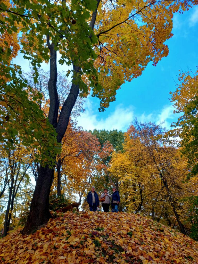 WhatsApp Image 2025 11 11 at 23.05.04 2