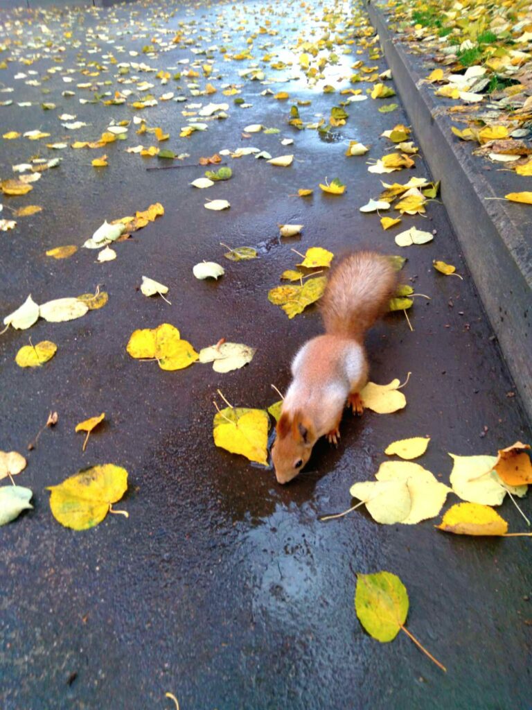 WhatsApp Image 2025 11 11 at 23.05.07 1 3