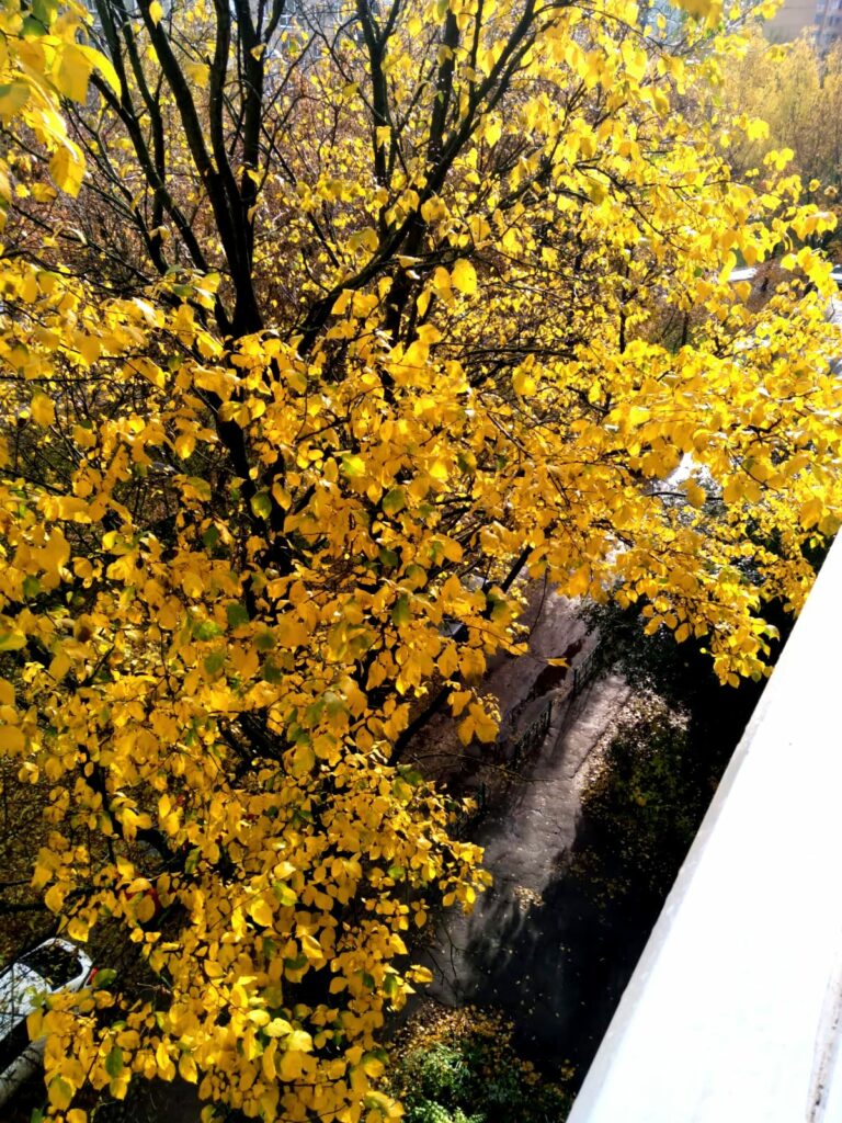 WhatsApp Image 2025 11 11 at 23.05.08 4