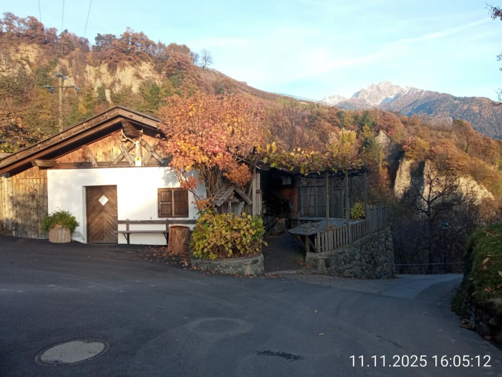 WhatsApp Image 2025 11 11 at 23.05.09 1 4