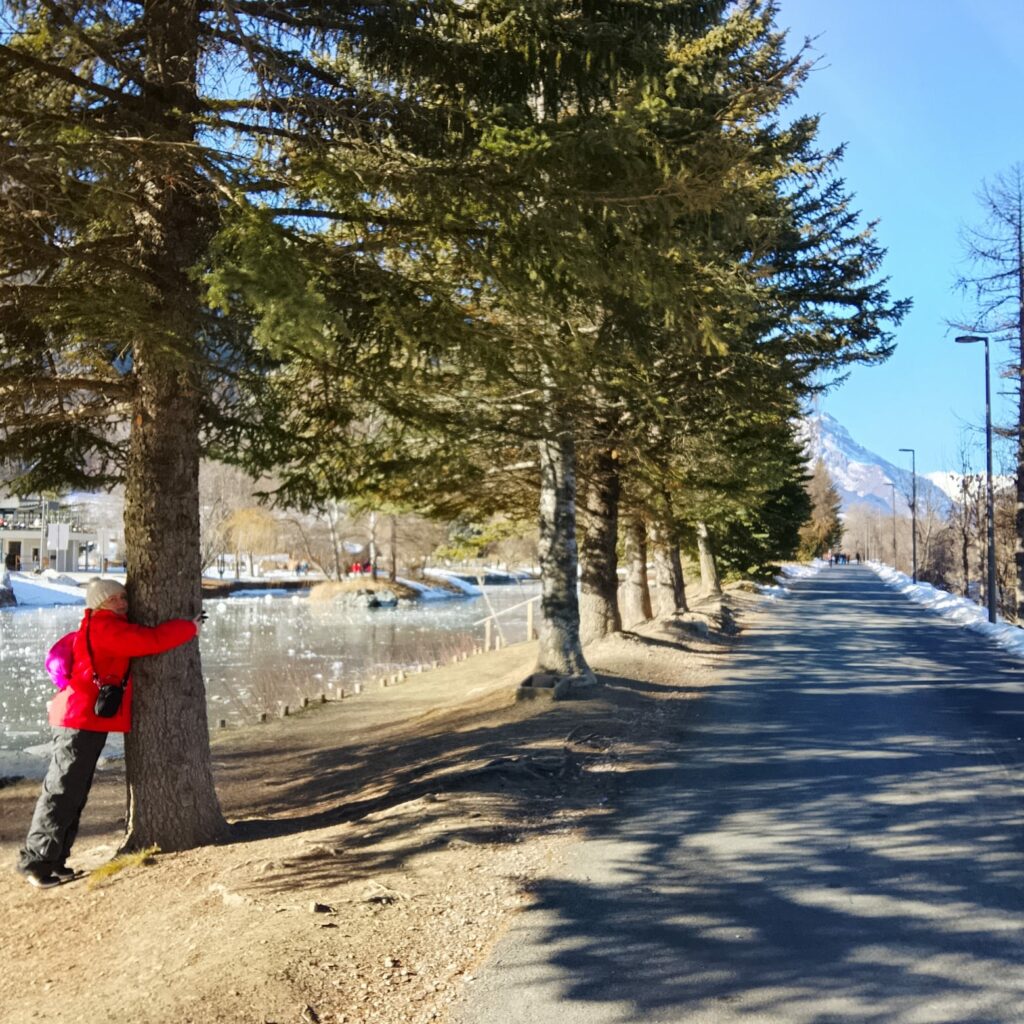 Gennaio: il mese dei desideri. Inizio invernale “Io posso!” 23 Senza titololkjcxghgdhfg 2