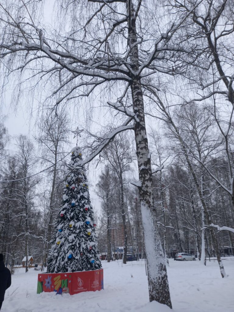 January: the month of wishes. Winter begins with “I can do it!” 13 WhatsApp Image 2026 01 03 at 12.03.05 1 3