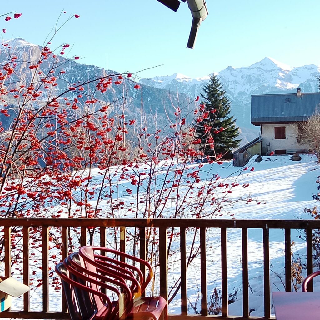 Gennaio: il mese dei desideri. Inizio invernale “Io posso!” 5 WhatsApp Image 2026 01 03 at 13.32.05 4