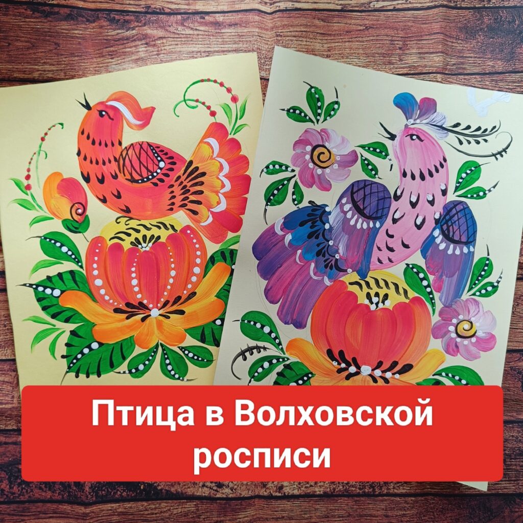 WhatsApp Image 2026 01 27 at 17.13.18 2