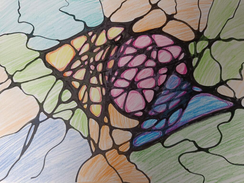 WhatsApp Image 2026 01 28 at 21.40.402