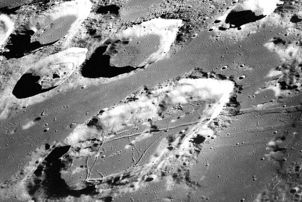 Gennaio: il mese dei desideri. Inizio invernale “Io posso!” 9 owl pic 620 a8c89482b4439e44a89461b1f26dfa36 3