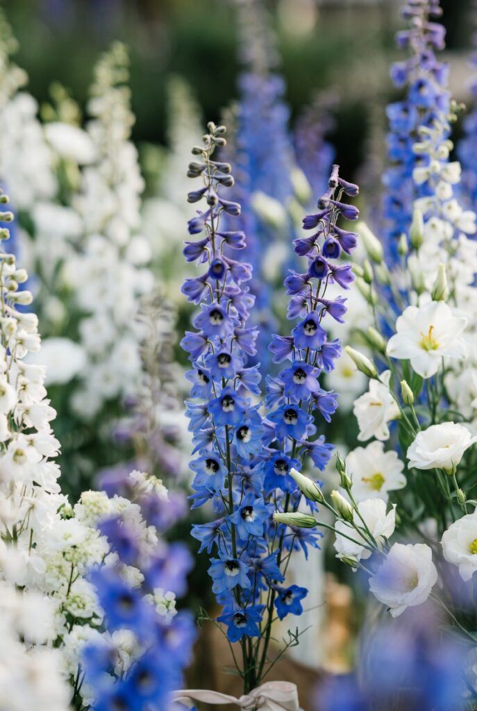 imageлллоаоа 2