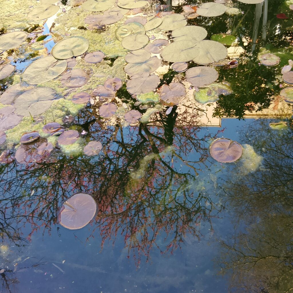 WhatsApp Image 2026 03 17 at 18.07.11 1