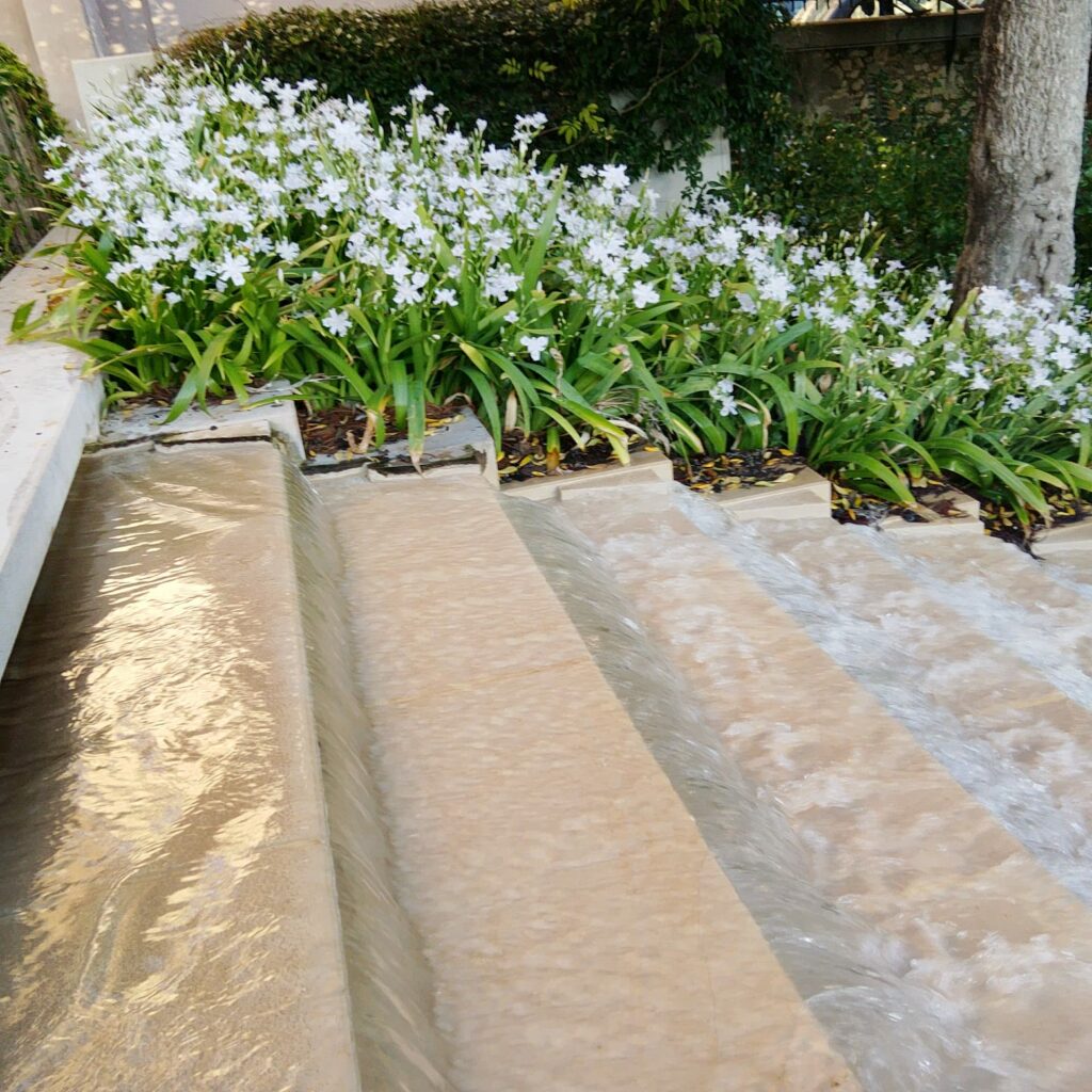 Iris — the Flower of the Spring Equinox. The World is in Harmony Again. 7 WhatsApp Image 2026 03 17 at 18.07.15 1 6