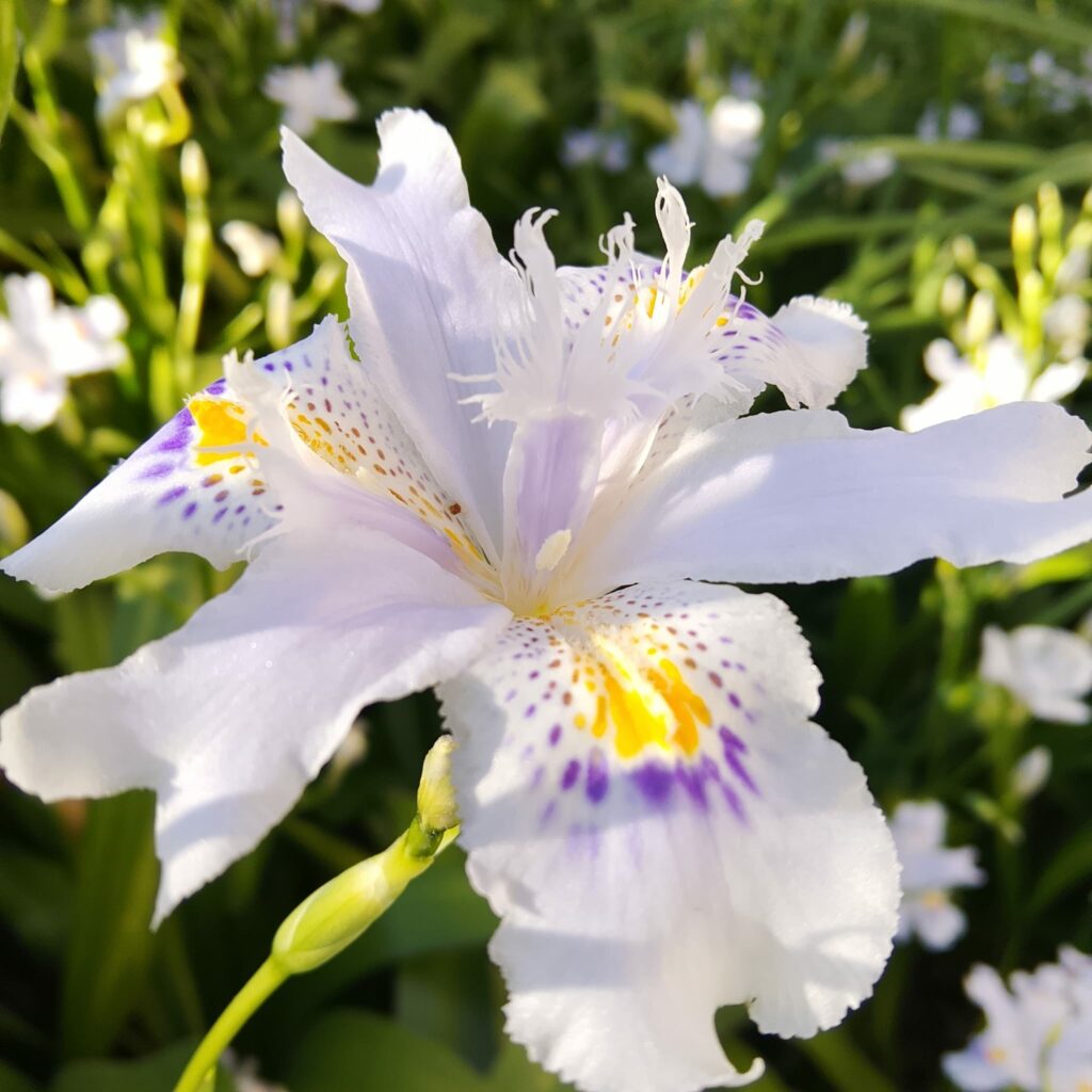 WhatsApp Image 2026 03 17 at 18.07.15 2 2