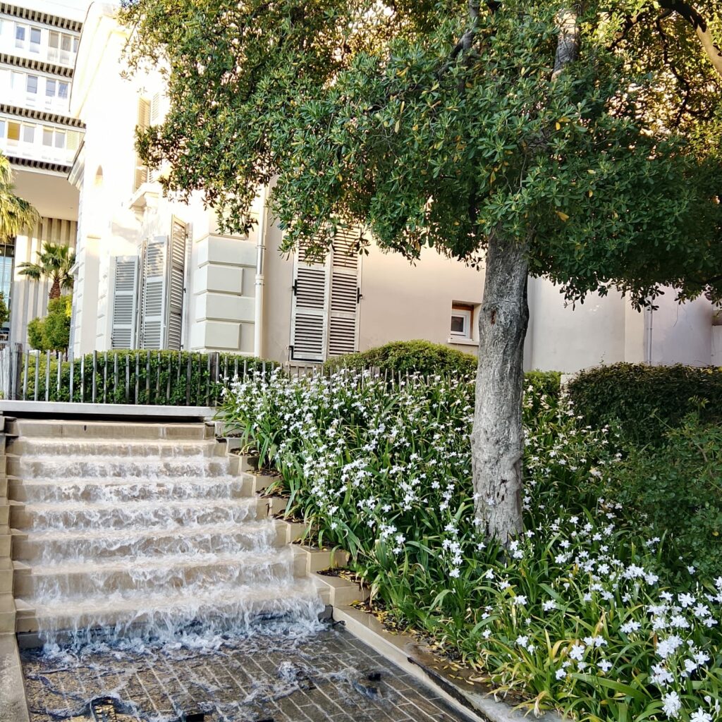 WhatsApp Image 2026 03 17 at 18.07.15 3