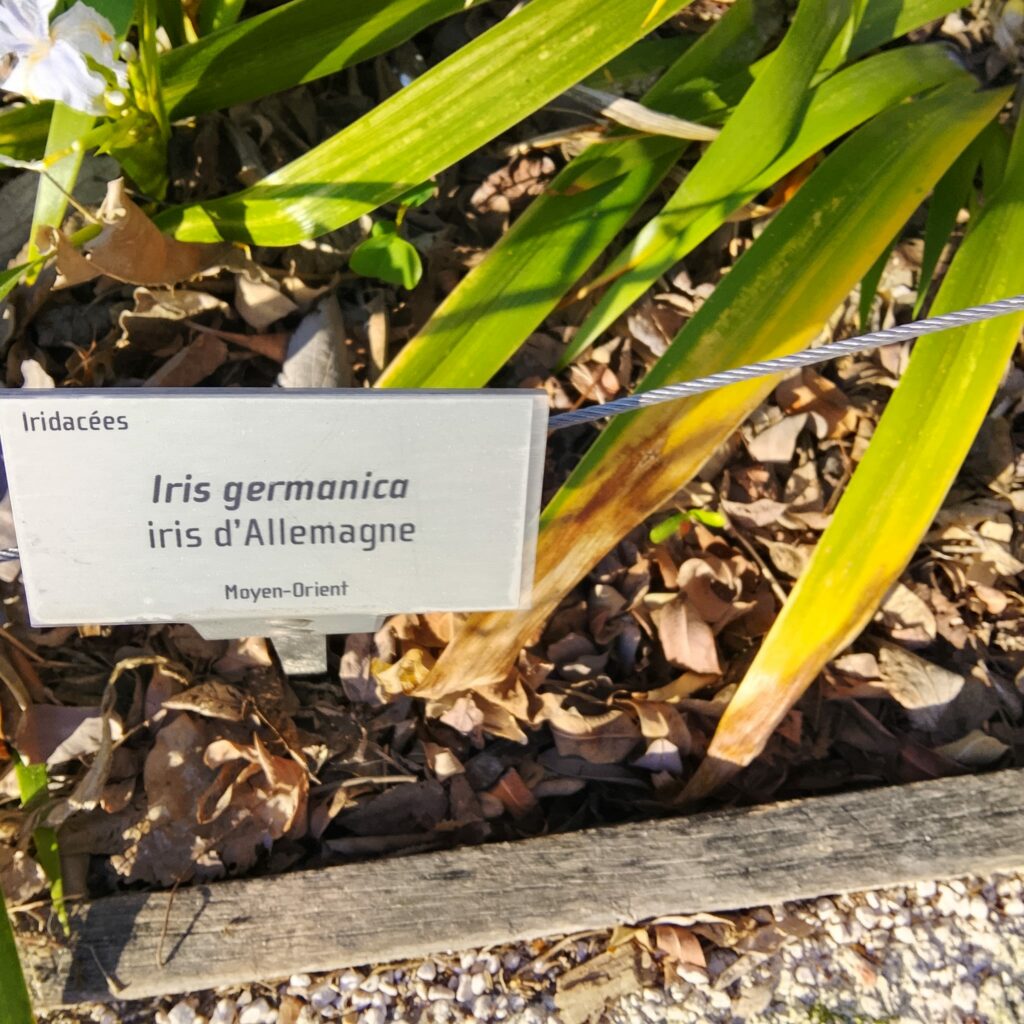 WhatsApp Image 2026-03-17 at 18.07.16 (3) WhatsApp Image 2026 03 17 at 18.07.16 3 1