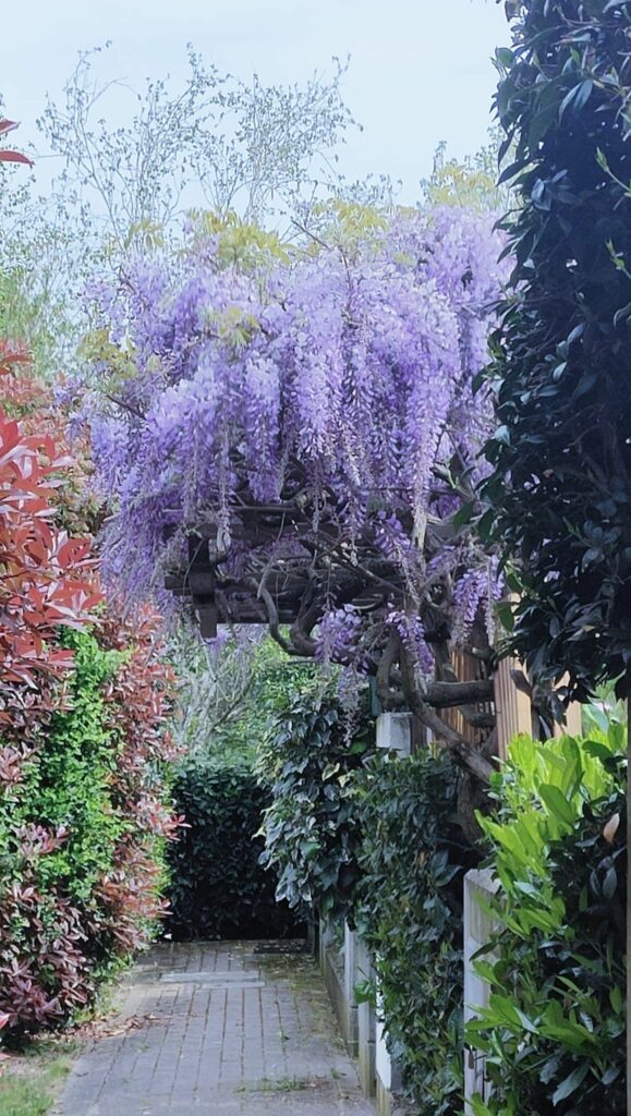 675571765 1567467464865397 1302112447587602310 n 1