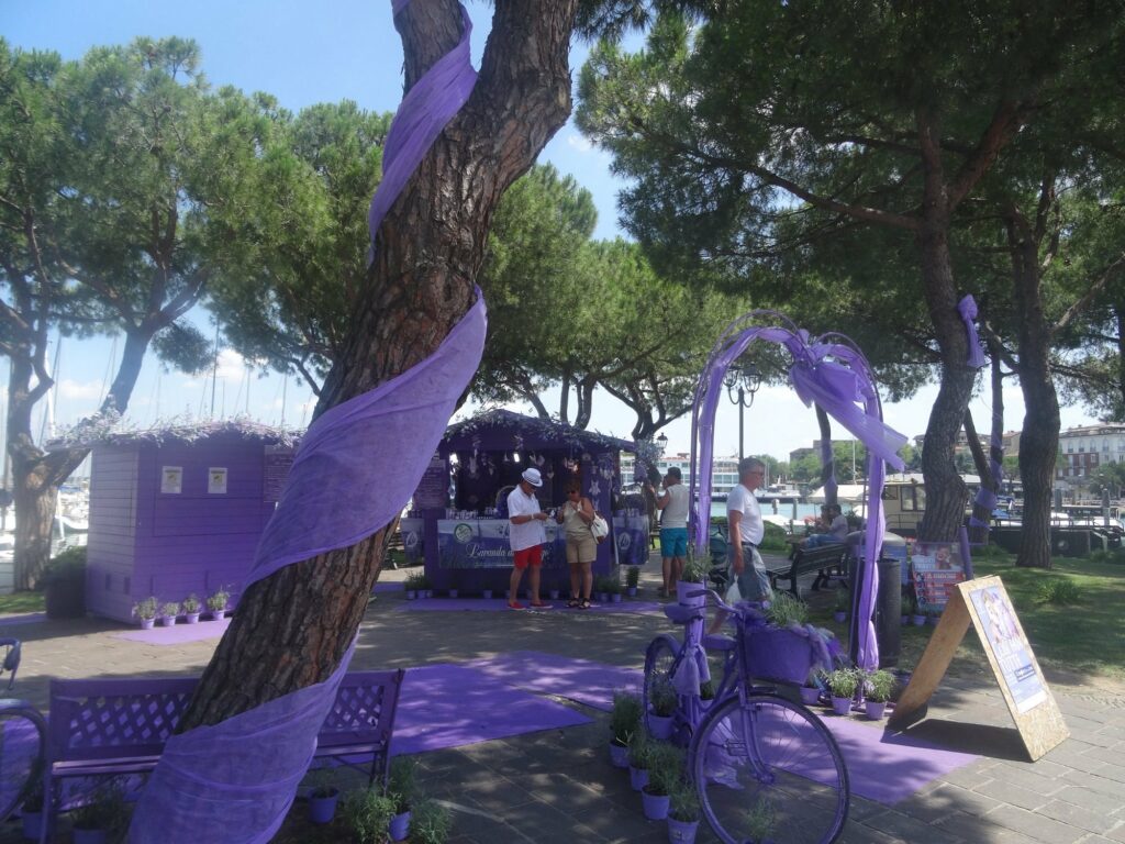 lavanda del lago 4