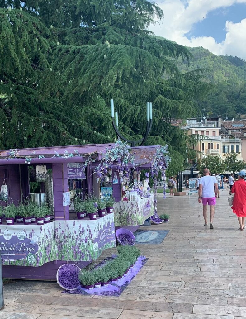 lavanda del lago bs 4