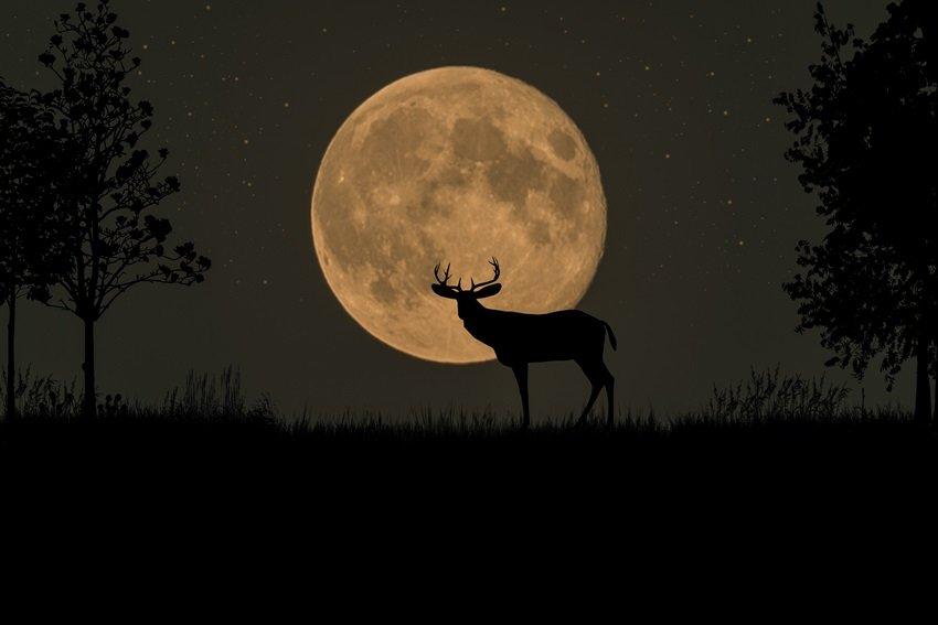 Plenilunio del 29 luglio 2026 — La Luna che apre il cuore prima della stagione dei cambiamenti 2 cS2Ci40xD3s51t0lcBYifmOzLWn9LnNc7zUMSRP6Kw3F 5LGiVQTitus zRd 9G 6osrUsT4TcO9RHqnNgXo1FluAc4K9Ql69Lgzt4IkRnWQXEFhugNtzL7HbVqnbwkHXaAuCJTmBljJfYksMSEhO JBV bXrV7B5ZT1wj4WvTLRbpGa6mP98liOPIQygEXK